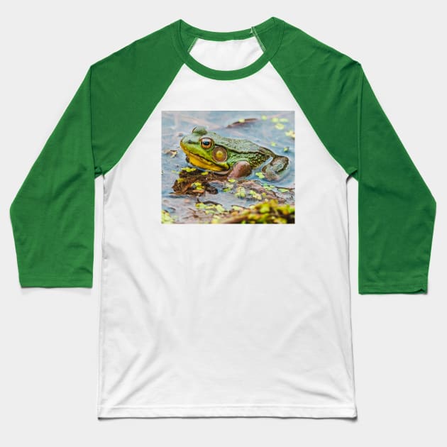 Resting Green Frog Photograph Baseball T-Shirt by love-fi